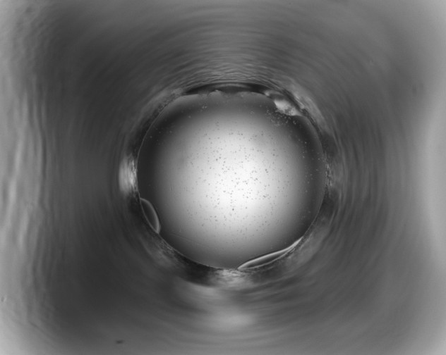 X0000099970095200805231413