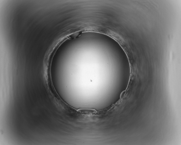 X0000099970098200805231413