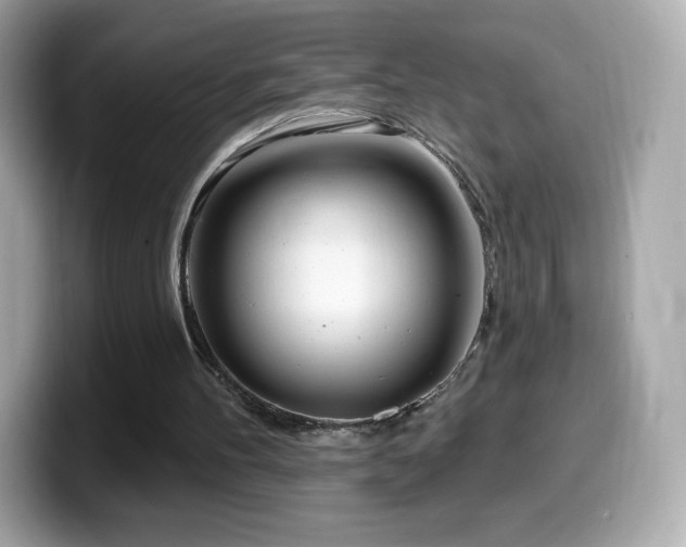 X0000099970100200805231413