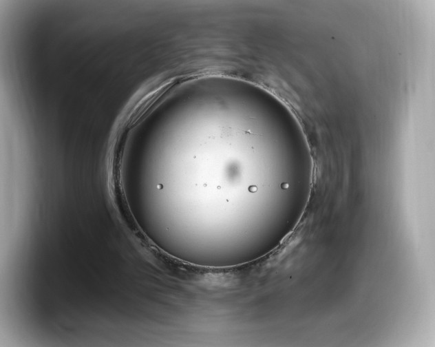 X0000099970101200805231413