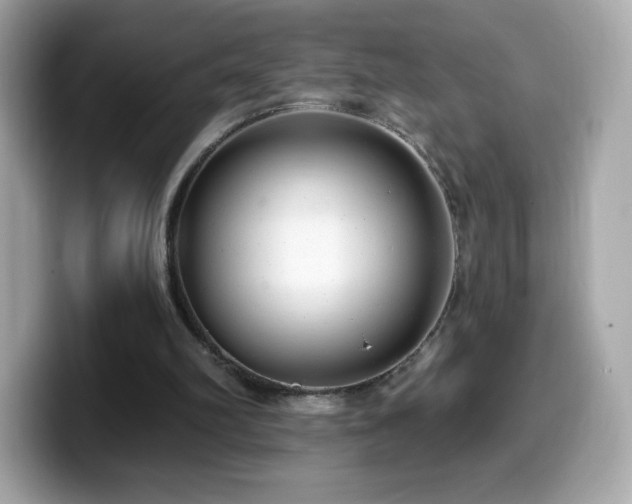 X0000099970102200805231413