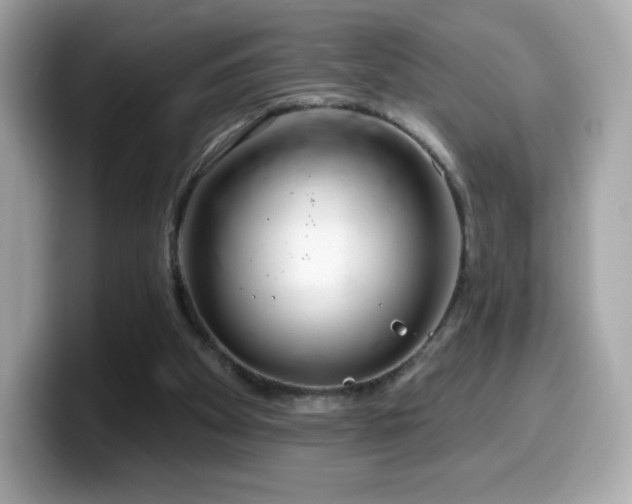 X0000099970105200805231413