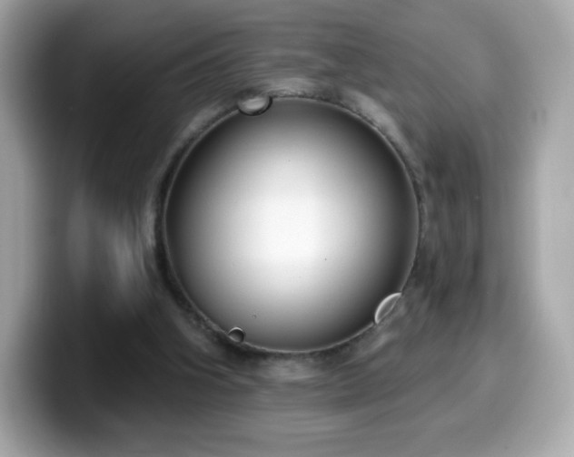 X0000099970106200805231413