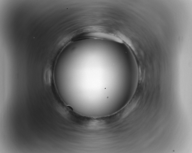 X0000099970109200805231413