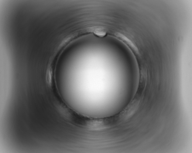 X0000099970110200805231413