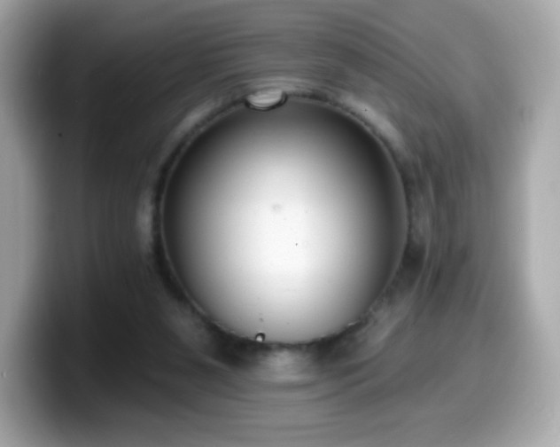 X0000099970111200805231413