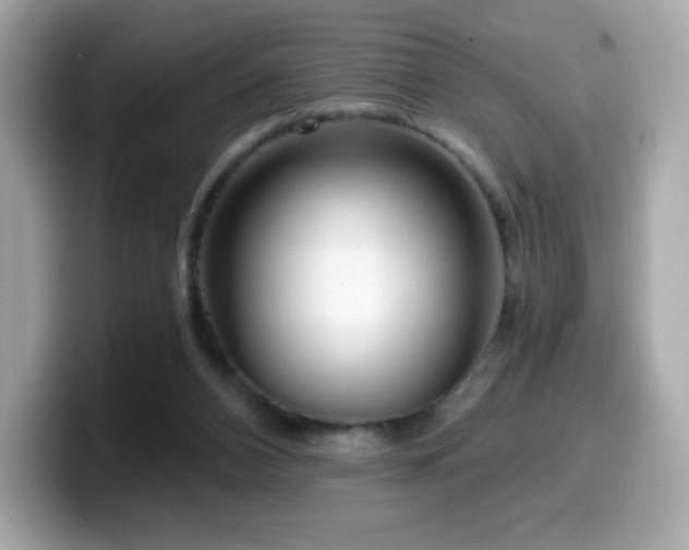 X0000099970112200805231413