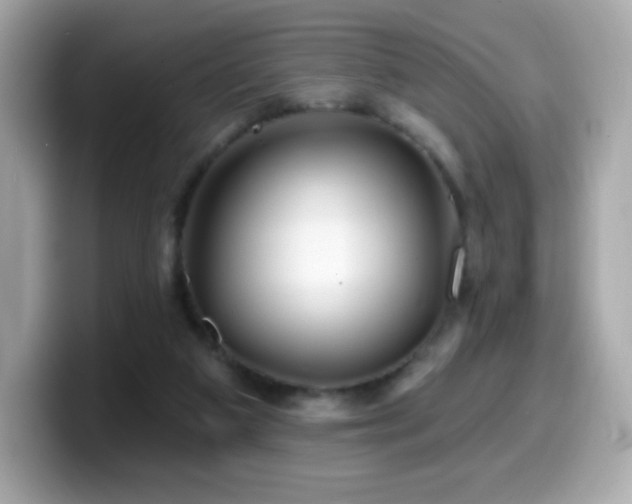 X0000099970113200805231413