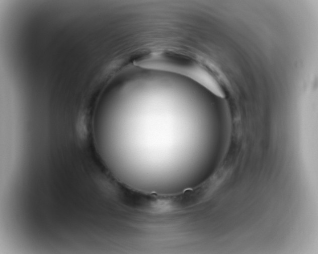 X0000099970114200805231413