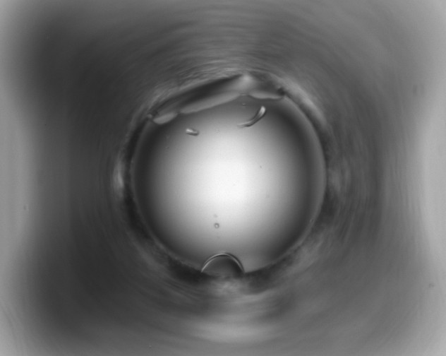 X0000099970115200805231413