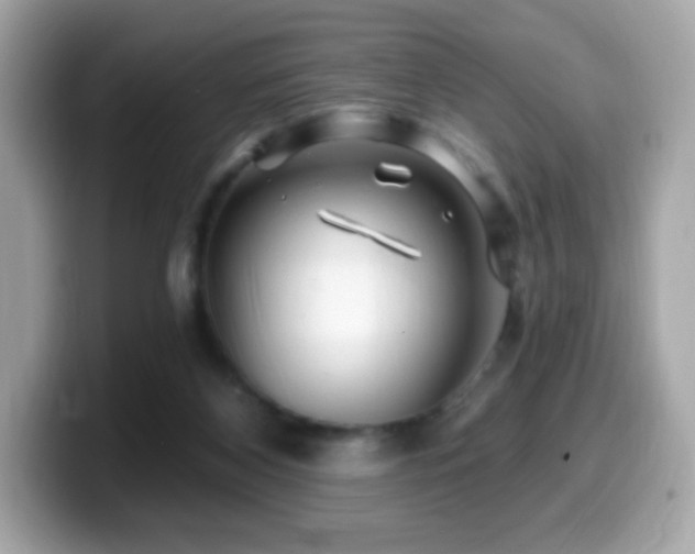 X0000099970116200805231413