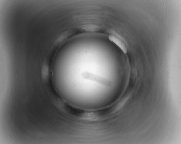 X0000099970117200805231413