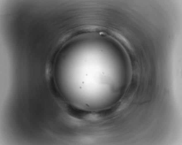 X0000099970119200805231413