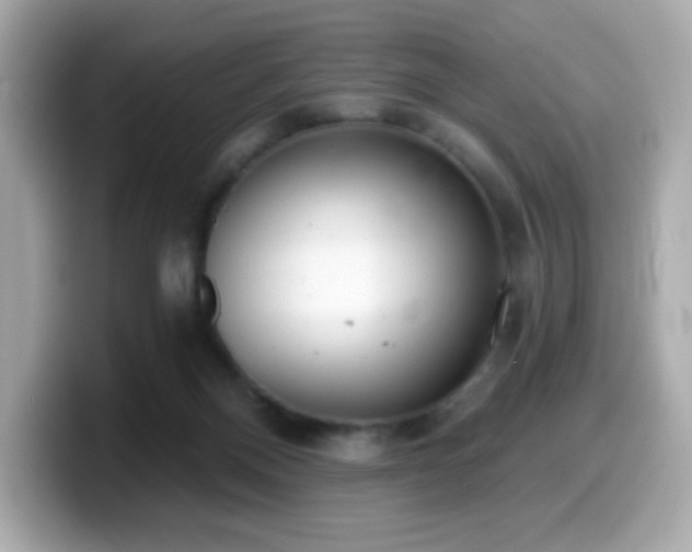 X0000099970120200805231412