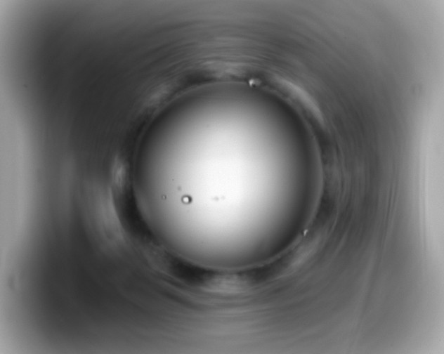 X0000099970123200805231412