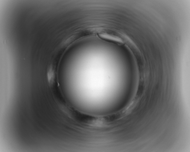 X0000099970124200805231412