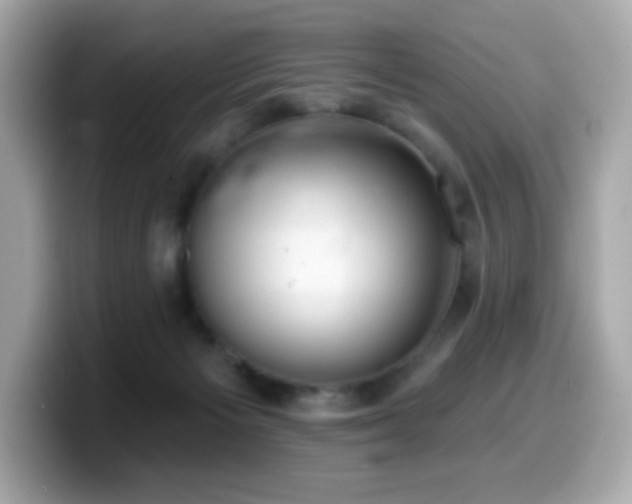 X0000099970125200805231412