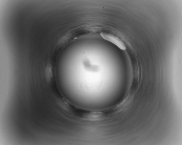 X0000099970128200805231412