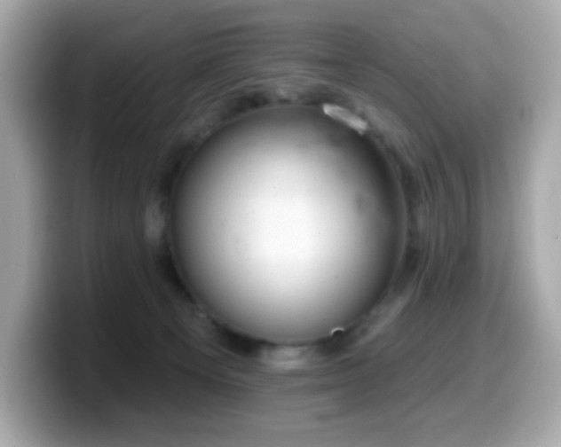 X0000099970129200805231412