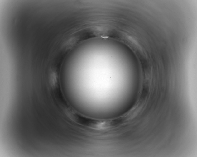 X0000099970130200805231412