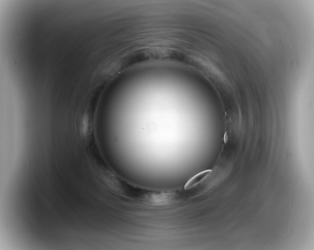 X0000099970134200805231412