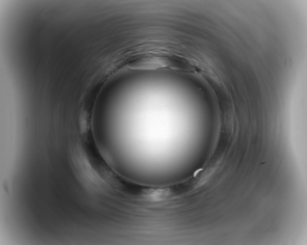 X0000099970135200805231412