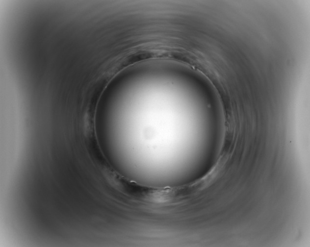 X0000099970136200805231412