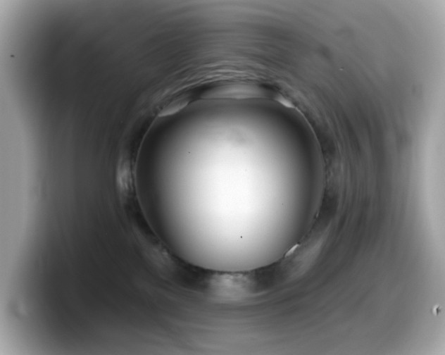 X0000099970137200805231412