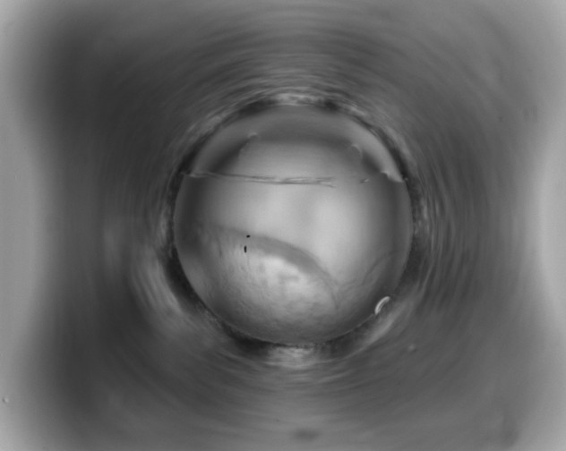 X0000099970139200805231412