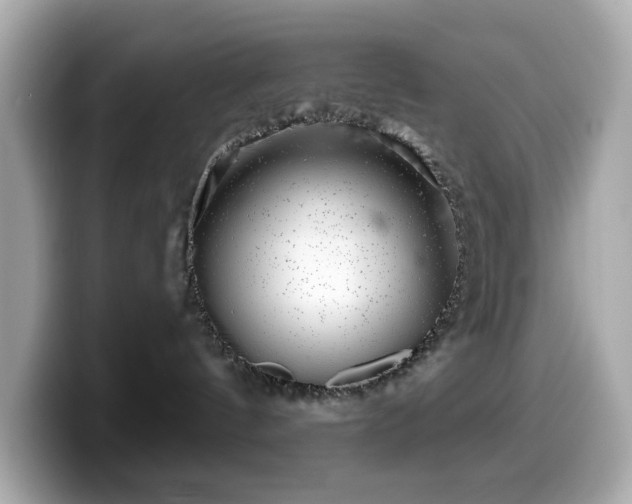 X0000099970144200805231412