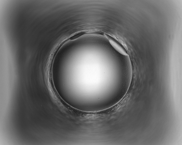 X0000099970145200805231412