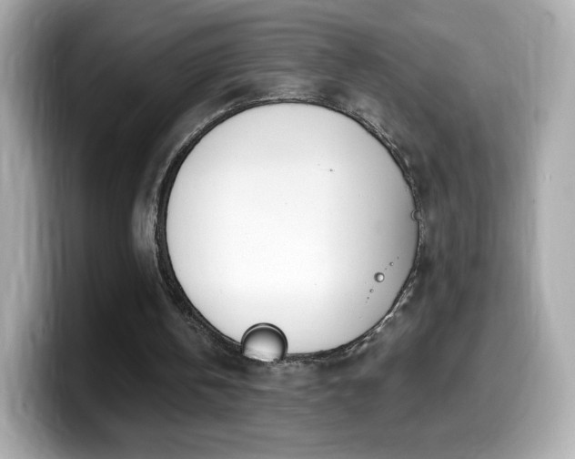 X0000099970146200805231412