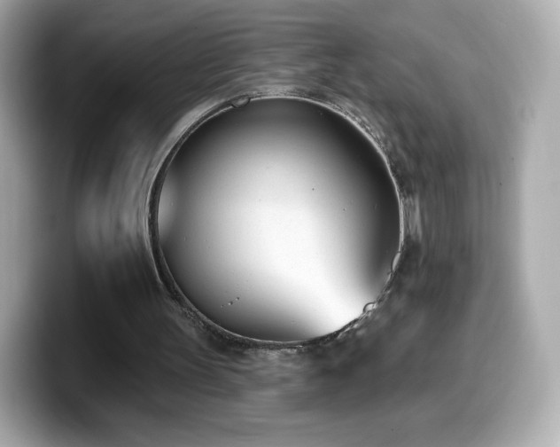 X0000099970147200805231412