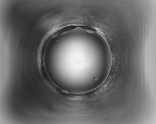 X0000099970149200805231412