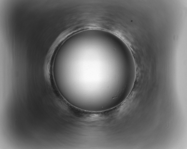 X0000099970151200805231412