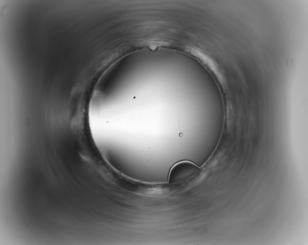 X0000099970153200805231412