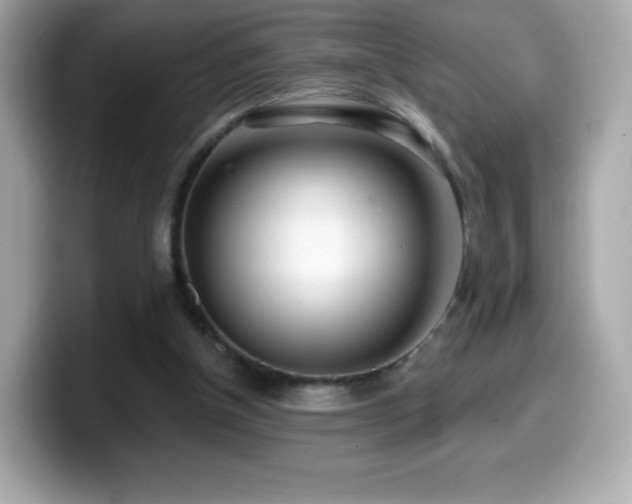 X0000099970154200805231412