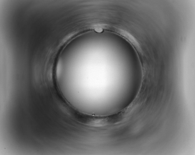 X0000099970155200805231412