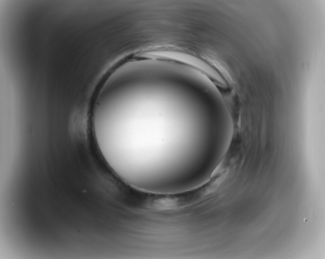 X0000099970156200805231412