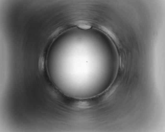 X0000099970157200805231412