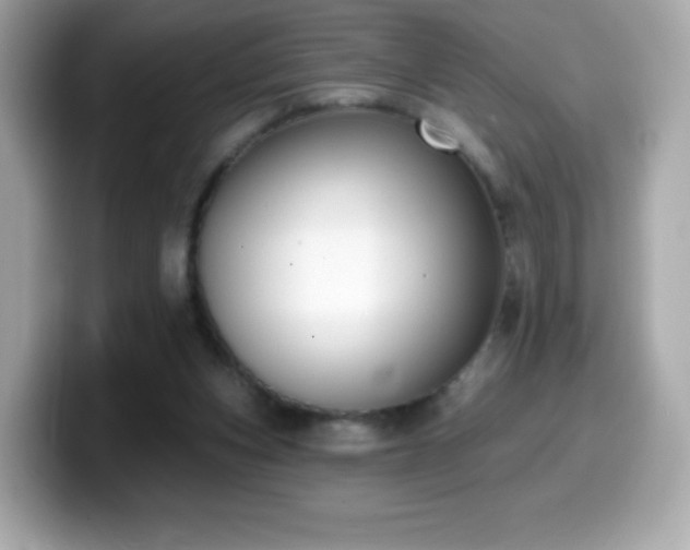 X0000099970159200805231412