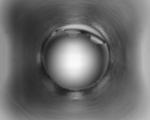 X0000099970161200805231412