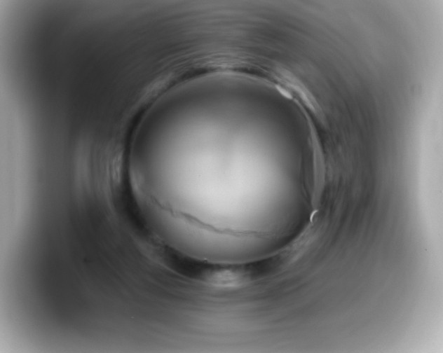 X0000099970163200805231412