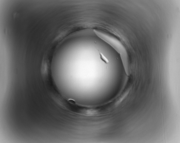 X0000099970165200805231412