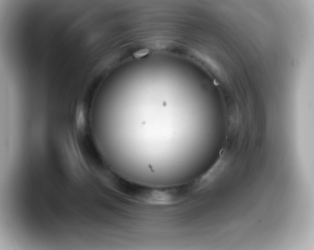 X0000099970166200805231412