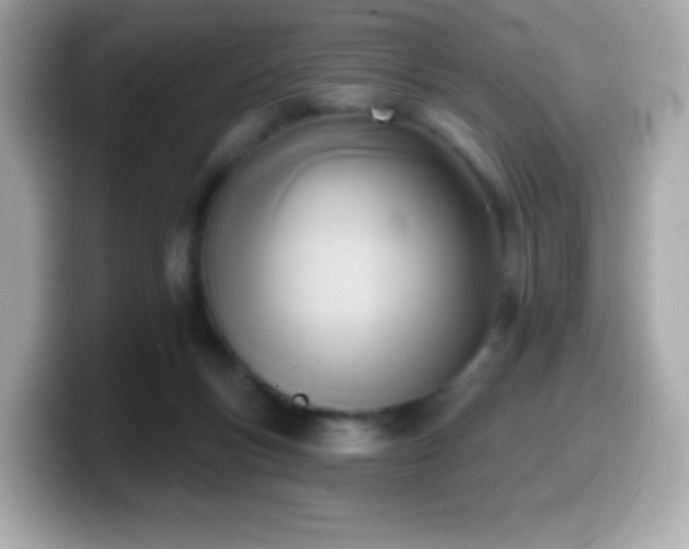 X0000099970167200805231412