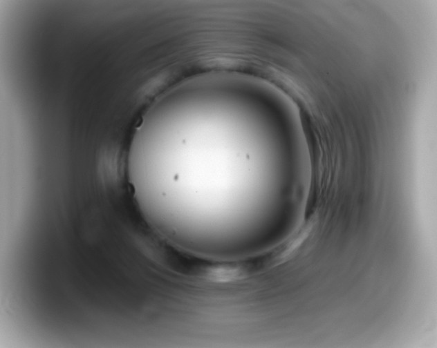 X0000099970168200805231412