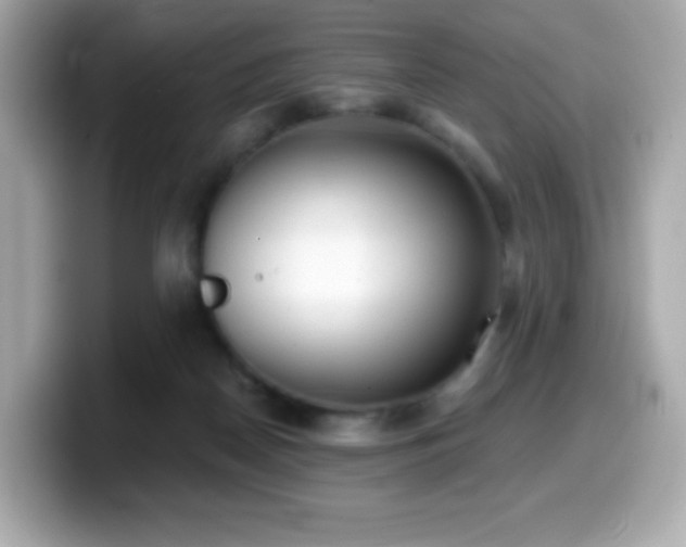 X0000099970170200805231412