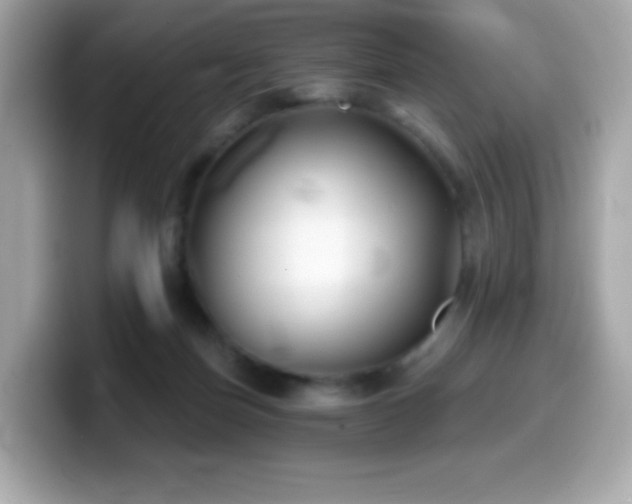 X0000099970171200805231412