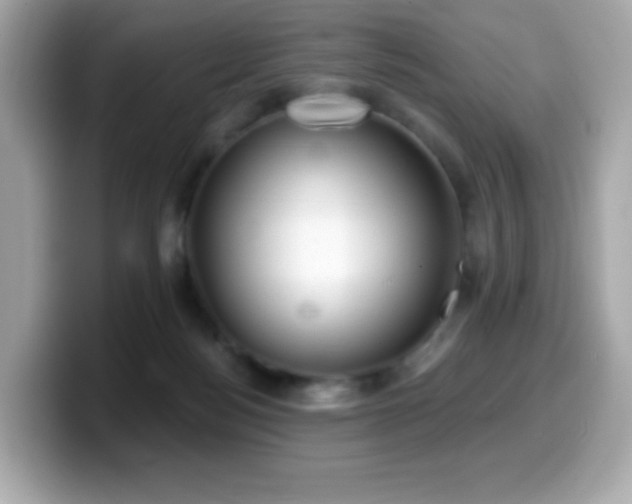 X0000099970172200805231412